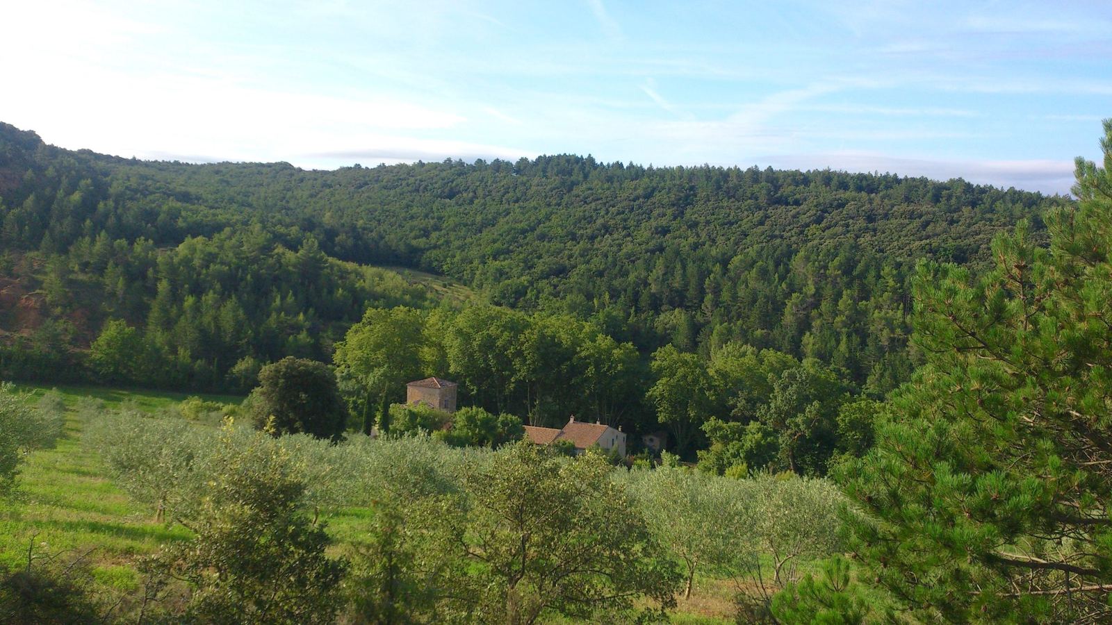 La Bâtisse et sa tour vues depuis l'oliveraie, au pied des collines boisées