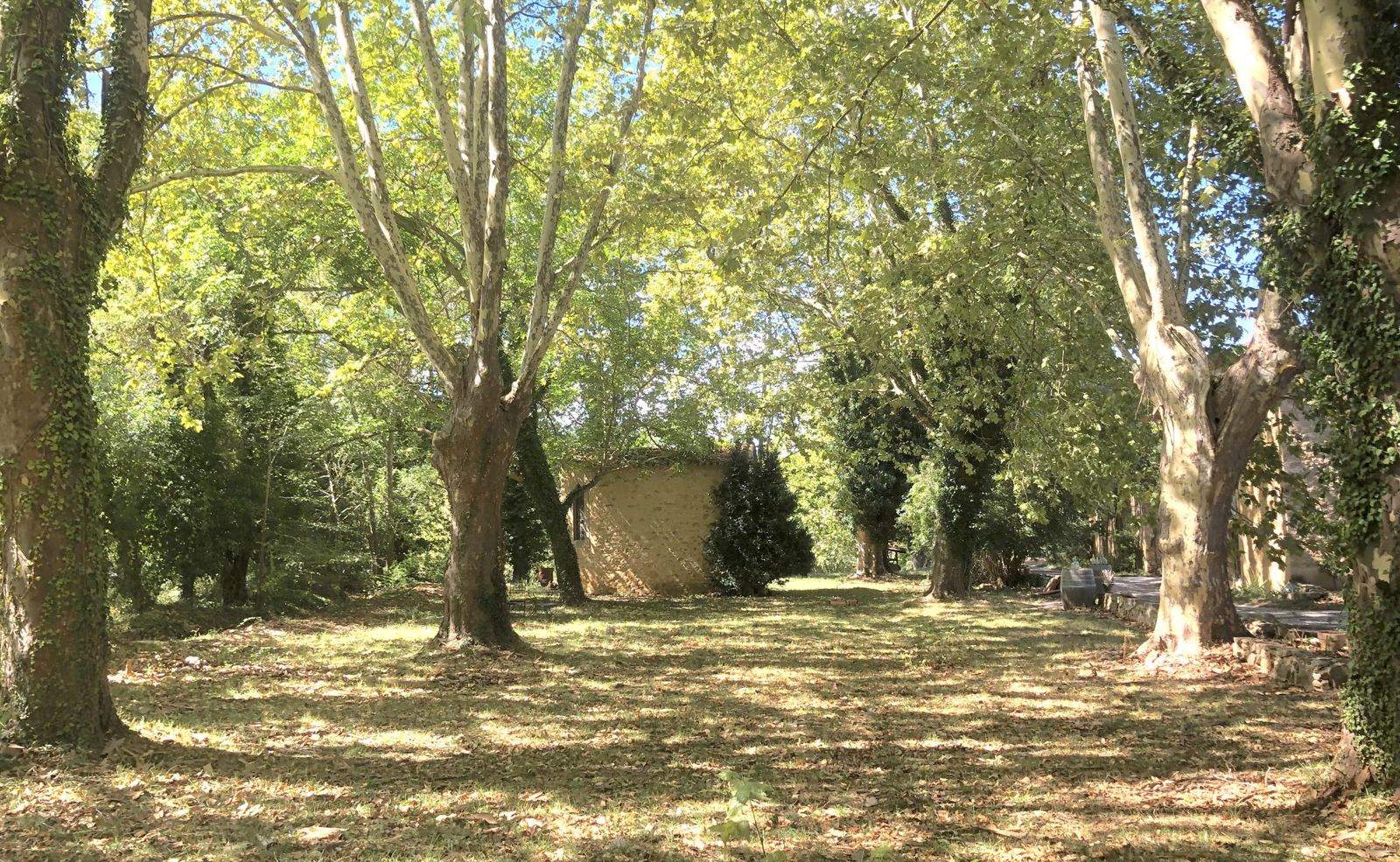 Le parc à l'ombre des platanes centenaires, la chapelle au fond