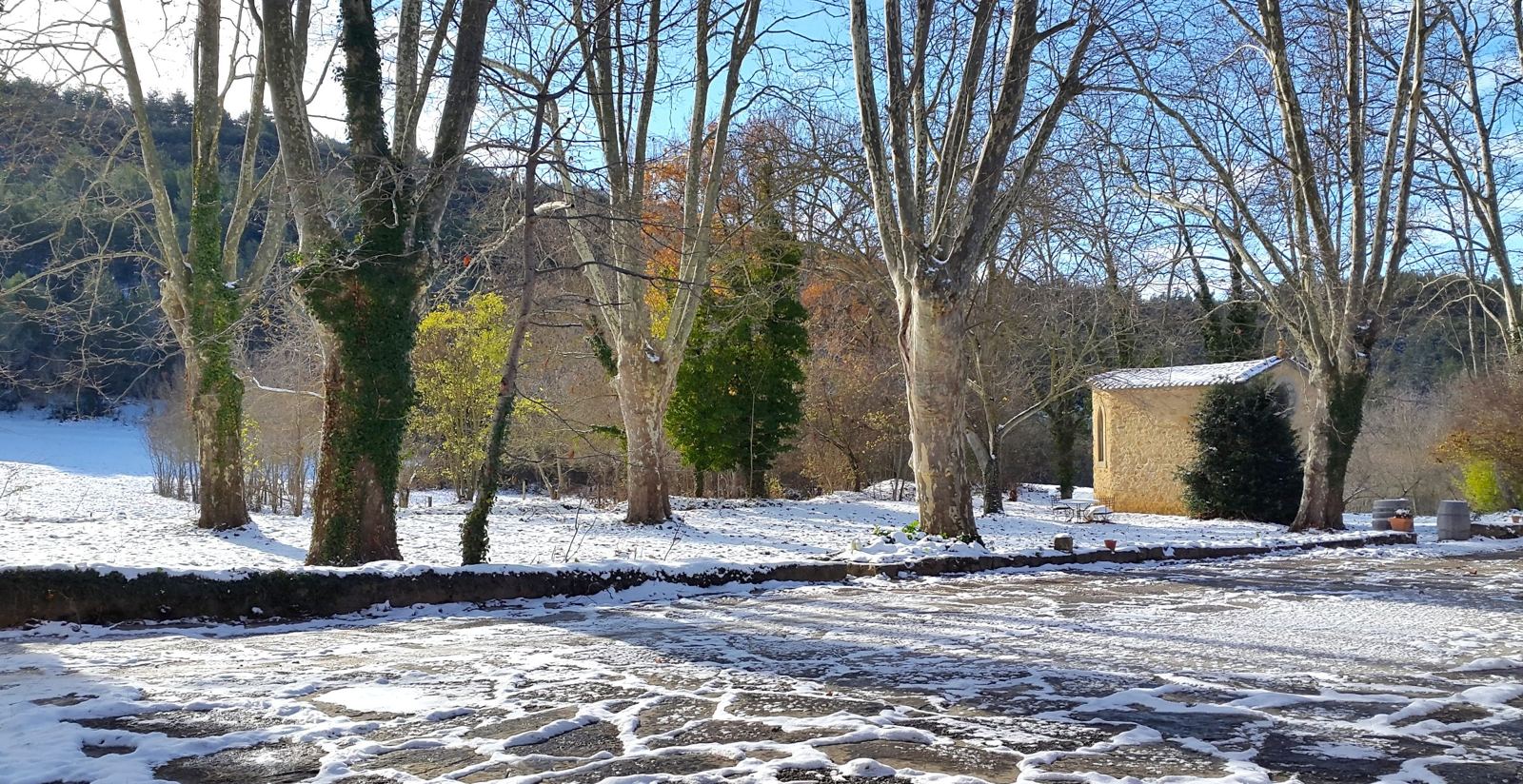 Première neige dans le parc : platanes, chapelle et cour enneigée