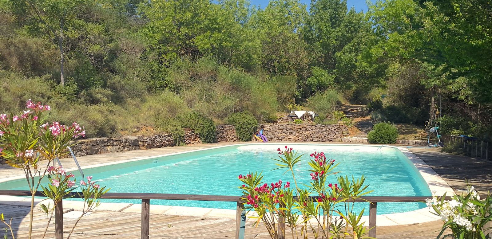 La piscine estivale entourée de lauriers-roses et de murets en pierre sèche