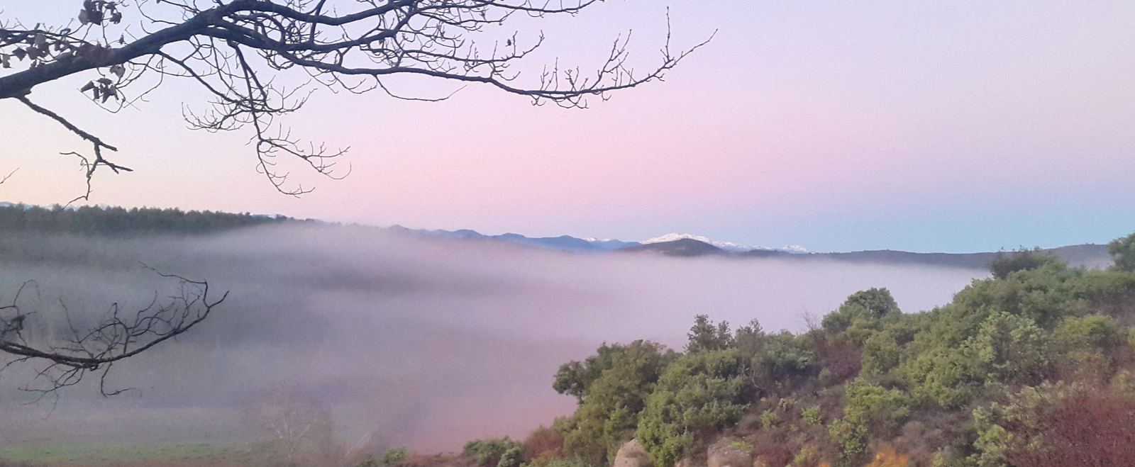 Aurore rose de janvier : mer de brume et sommets enneigés des Pyrénées