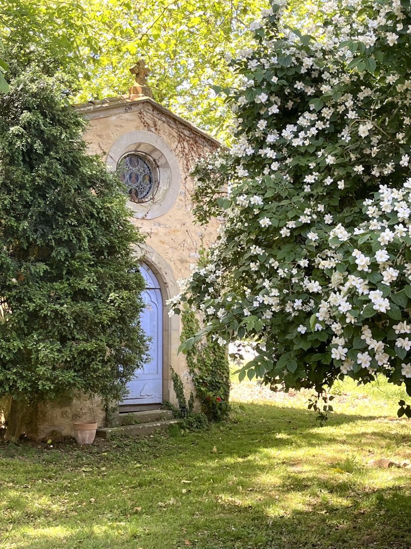 La chapelle et sa rosace, entre if et seringat en fleurs